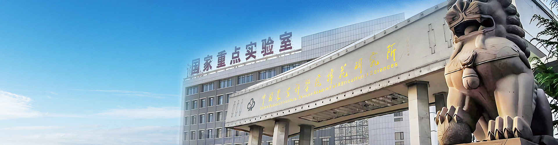 中棉小康生物科技有限公司