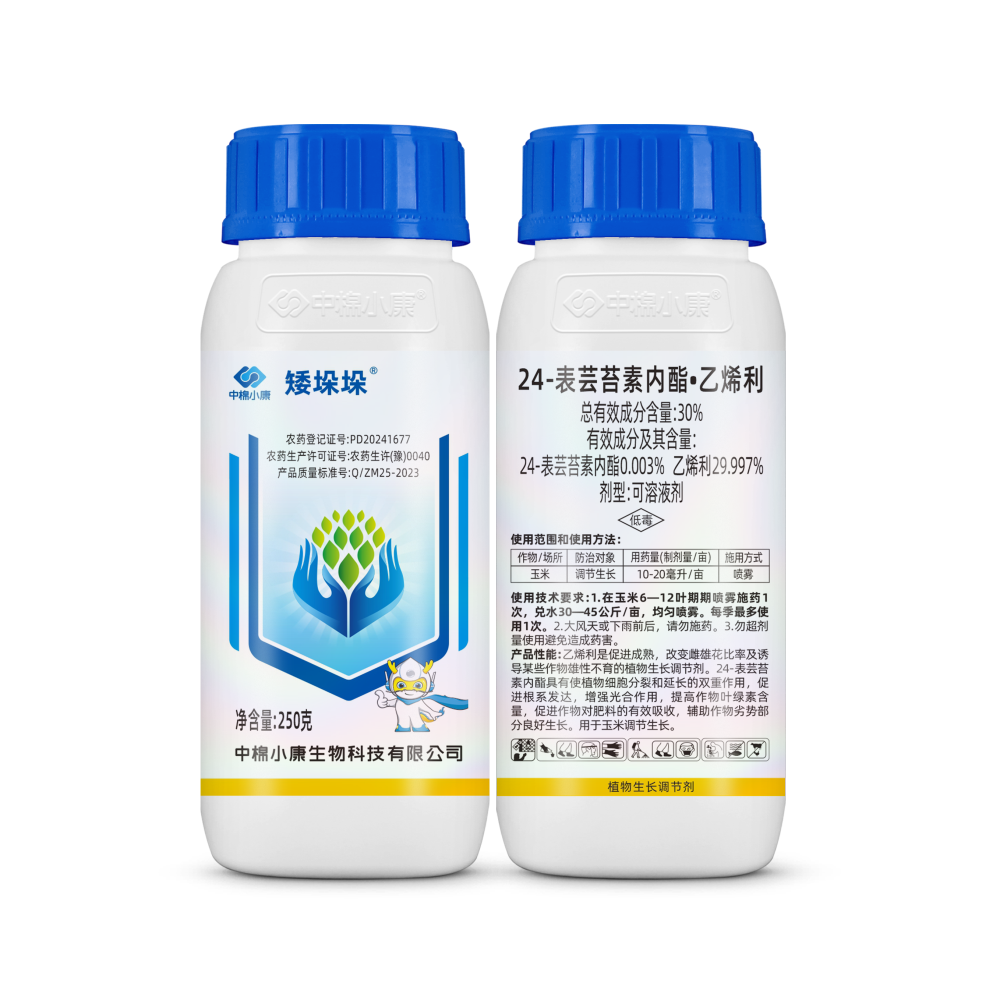 矮垛垛芸乙-250g